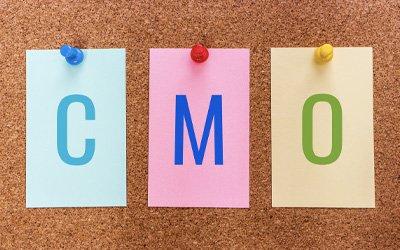 What is a Fractional CMO and Does My Business Need One?